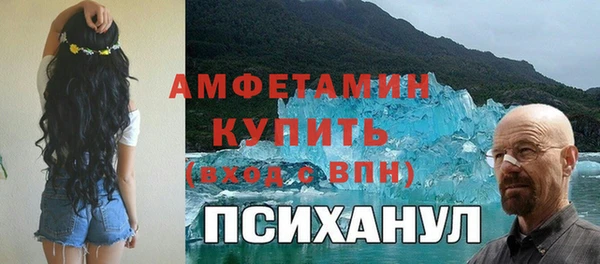 хмурый Абаза