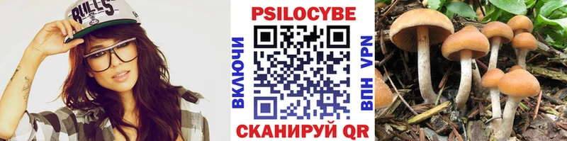 Галлюциногенные грибы ЛСД  Боровичи 